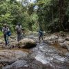 Група хора, използващи Salto La Jalda (туризъм и плуване), навигиращи през поток в джунглата.